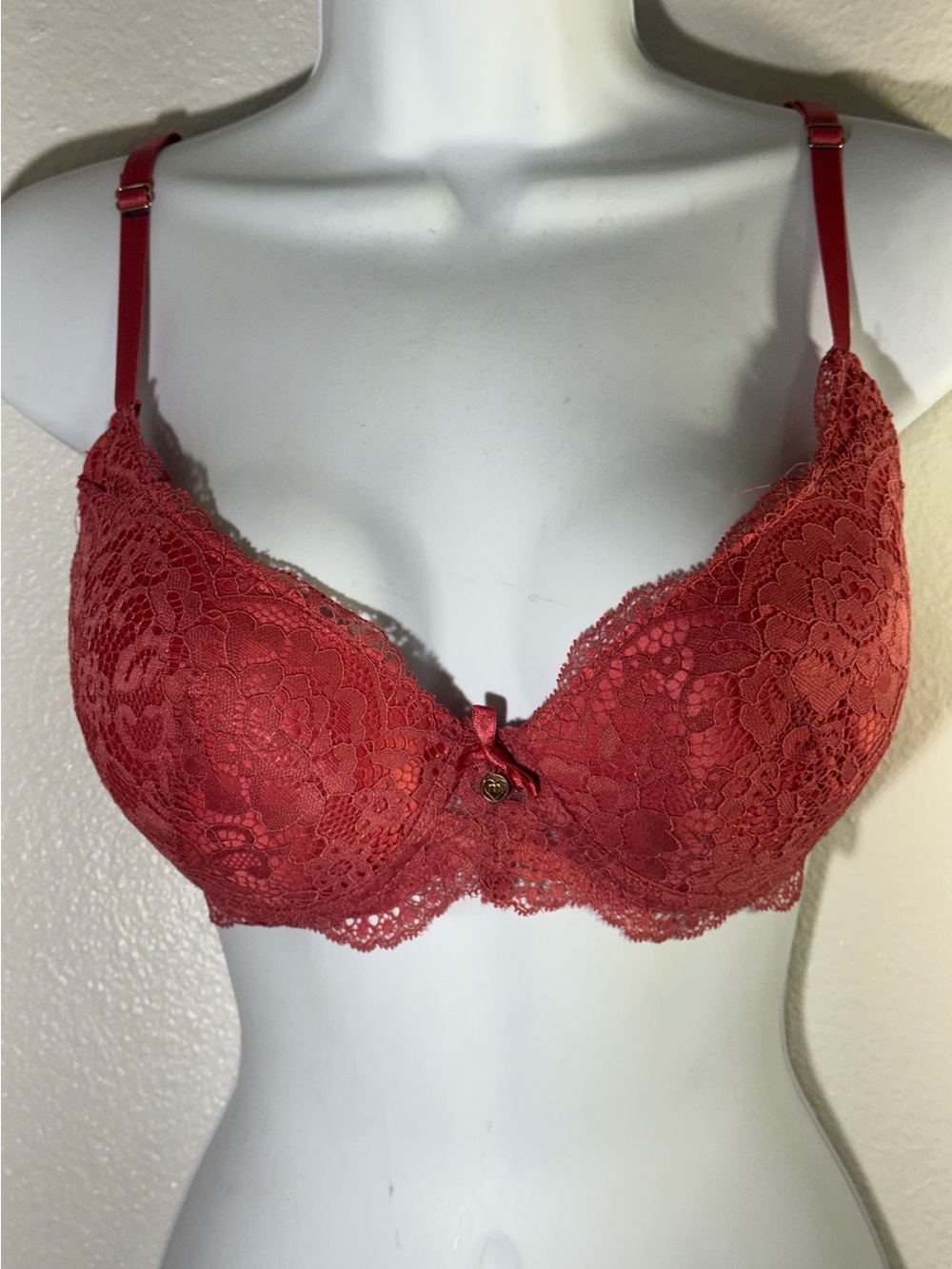 Lace Push-Up Bra in Deep Rose - Women Intimates